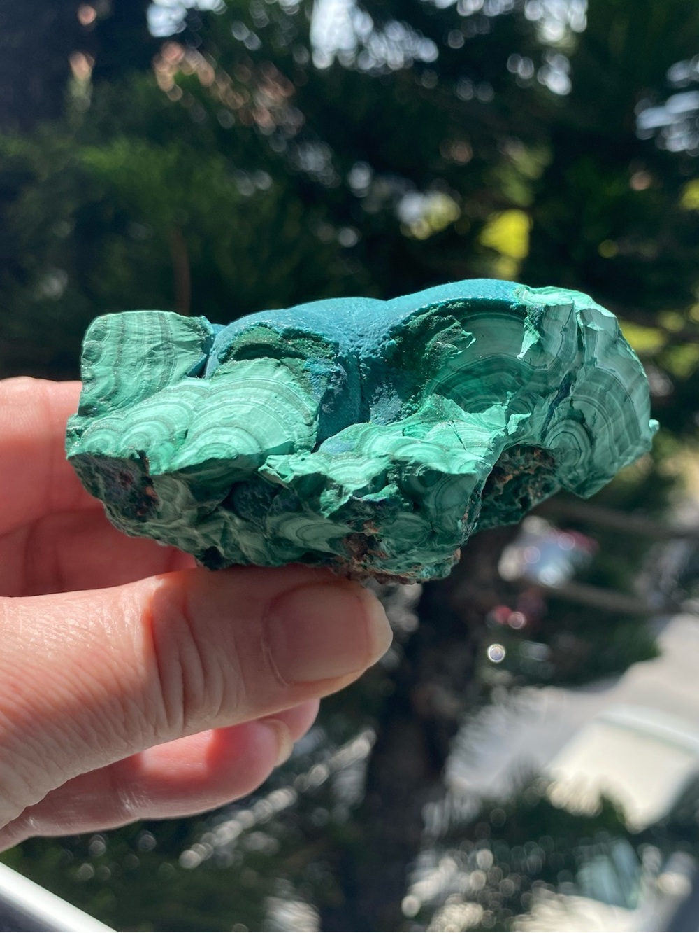 Large Botryoidal Malachite - Picture 7 of 16